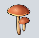 我的起源蘑菇怎么获得 蘑菇材料配方使用效果一览_
