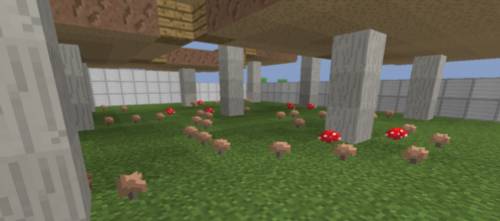 我的世界怎么种蘑菇种植方法